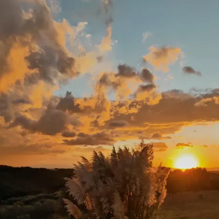 ベッド・アンド・ブレックファスト Podere La Svolta 3*