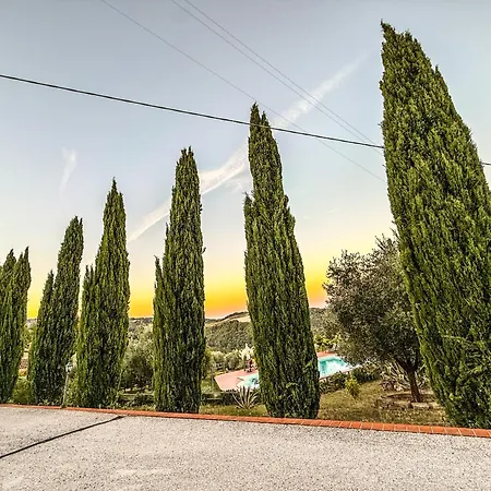 Podere La Svolta ベッド・アンド・ブレックファスト 3*