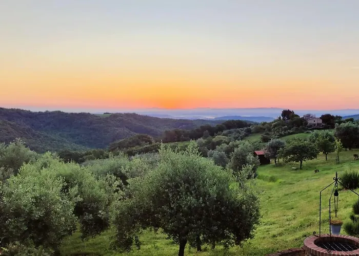Bed & Breakfast Podere La Svolta Chianni