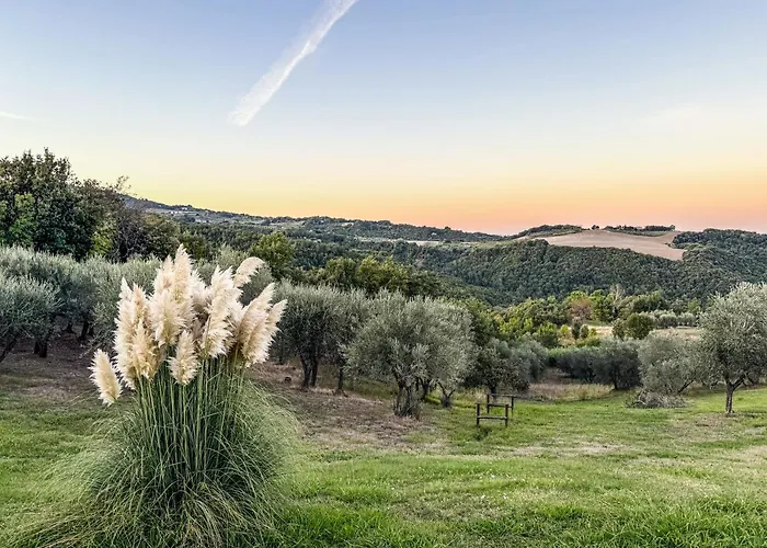 Podere La Svolta Bed & Breakfast Chianni